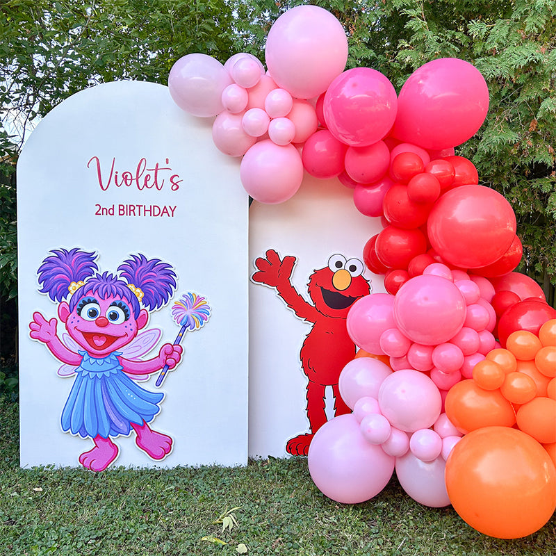 Sesame Street – DIY Balloon Garland Kit