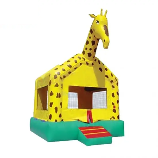 Kids Inflatable Jumper
