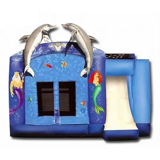 Dolphin Combo Bounce House