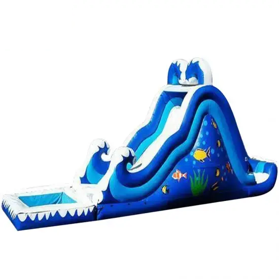 Backyard Inflatable Pool Slide