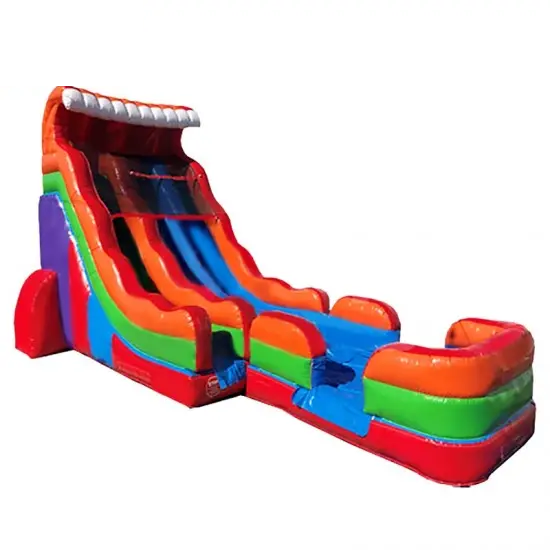 Party Water Slide Dual Lane