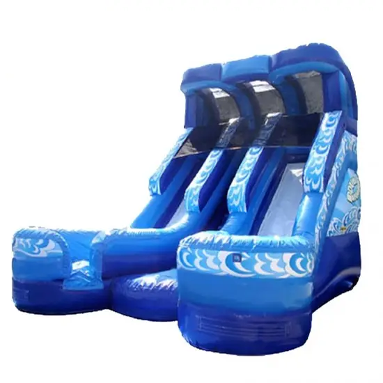 Double Water Slide Inflatable